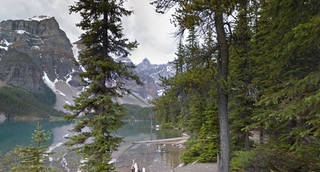 Illustration for article titled You Can Visit 44 National Parks From the Comfort of Google Street View